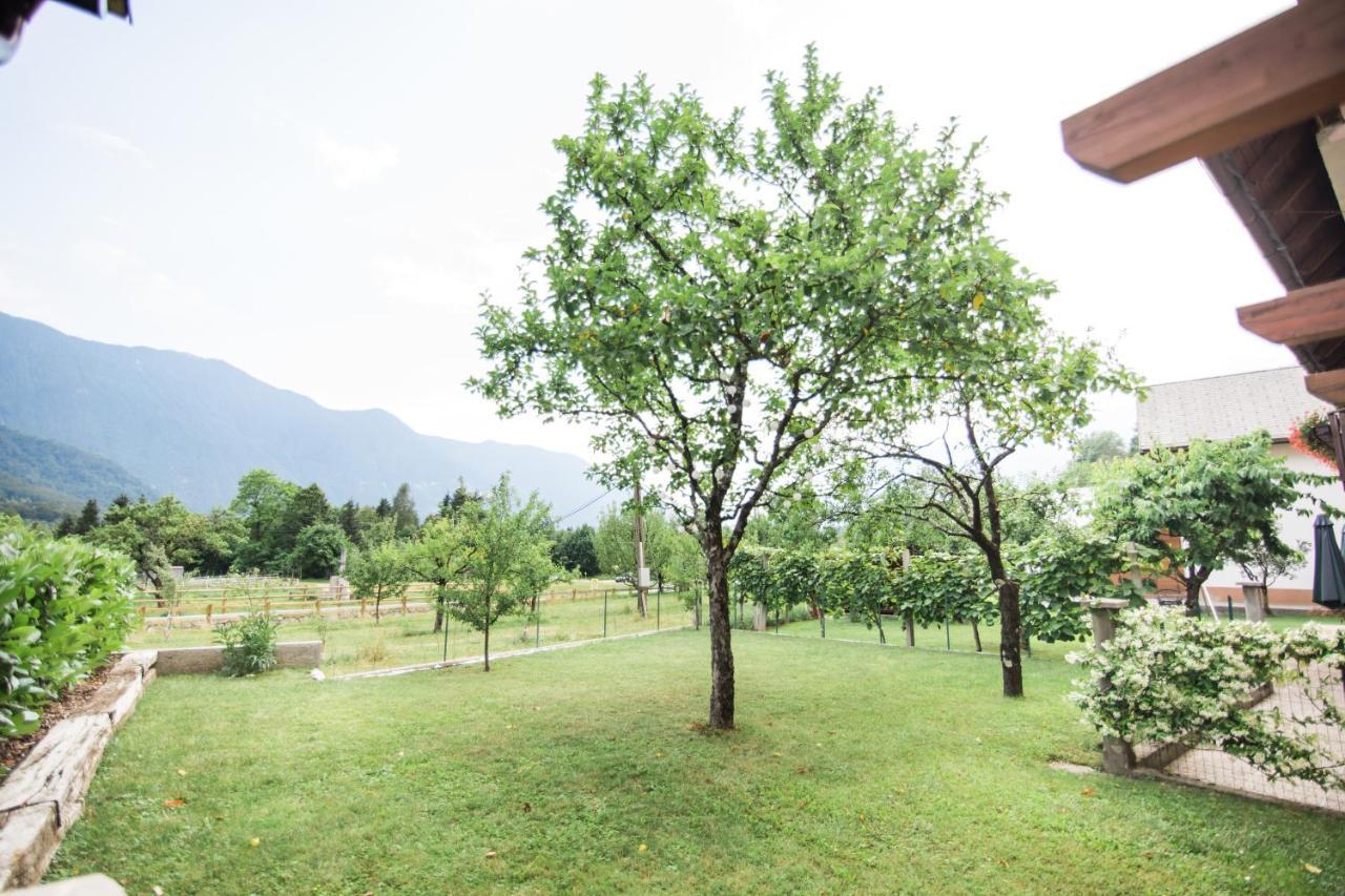 Apartma Lojz Bovec Buitenkant foto